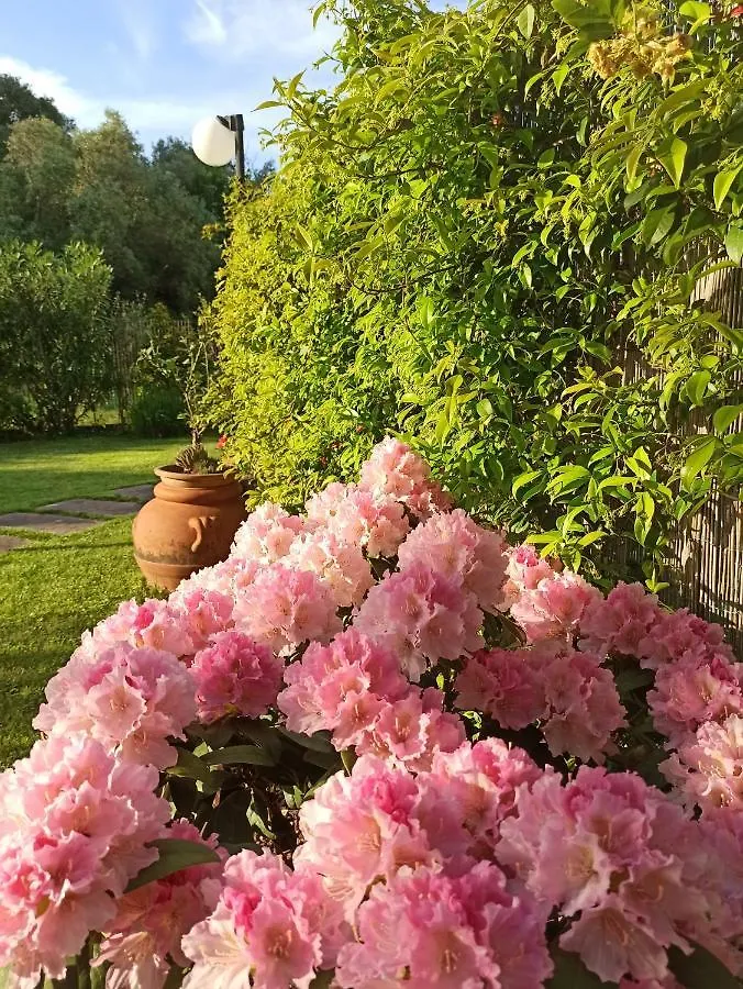 Holiday home Amaryllis Case Vacanza Romito Magra