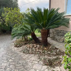  Appartamento Il Giardino Delle Cycas
